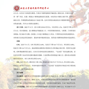 2025年中国经济形势分析报告