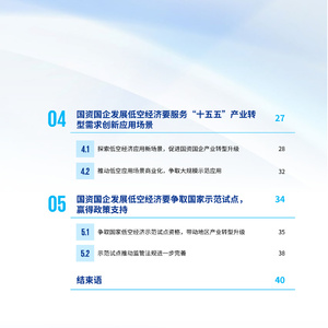 2025年国资国企发展低空经济报告