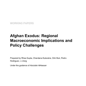 2025年阿富汗人口外流研究报告