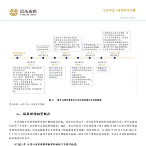 2025年城投新增融资观察报告