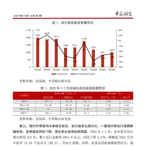 2025年房企信用风险与债务重组报告