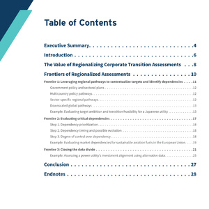 2025年能源转型区域化评估报告