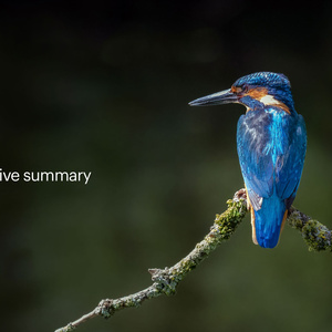 2025年欧洲AI产业发展研究报告