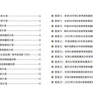 2025年VR/AR/AI眼镜产业销量报告