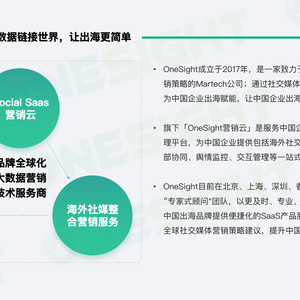 2025年AI+赋能中小企业出海营销创新报告